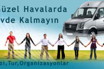 Gezi ve Organizasyon